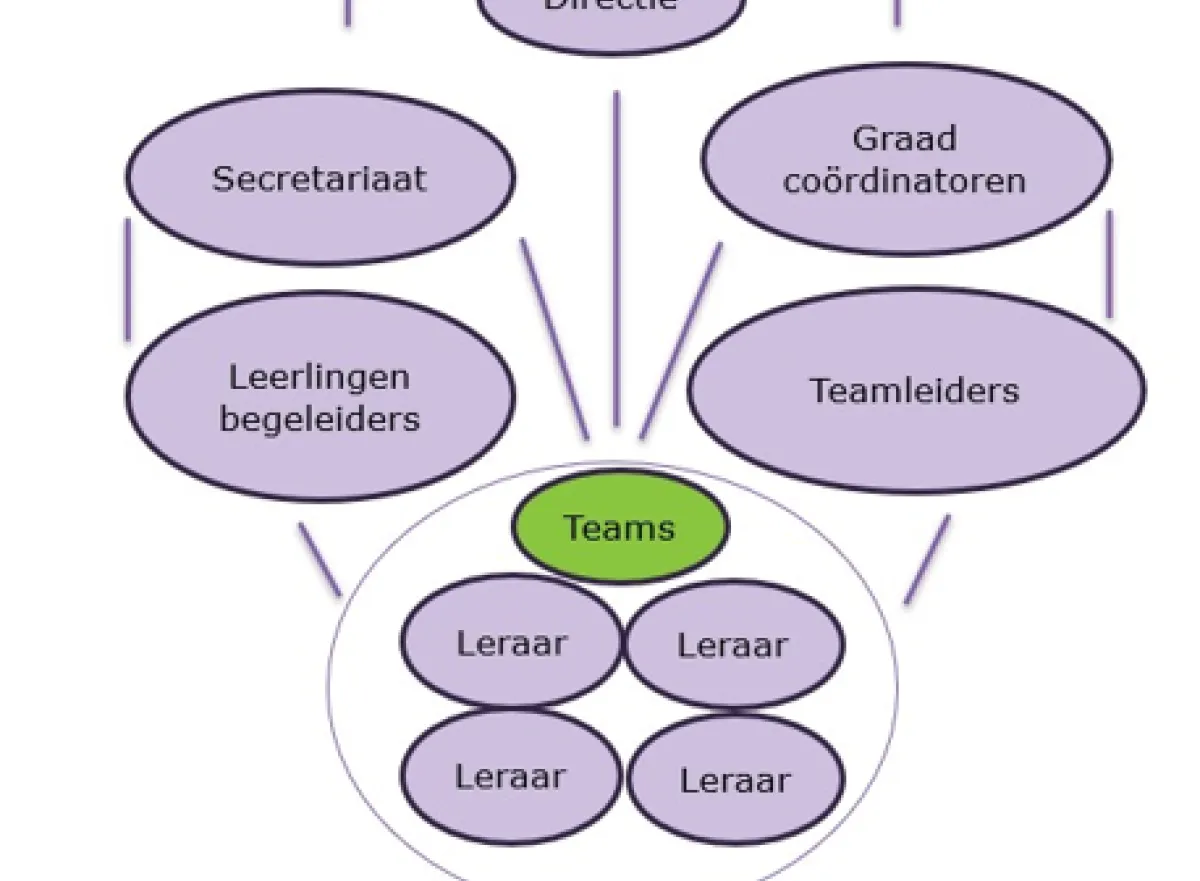 organogram